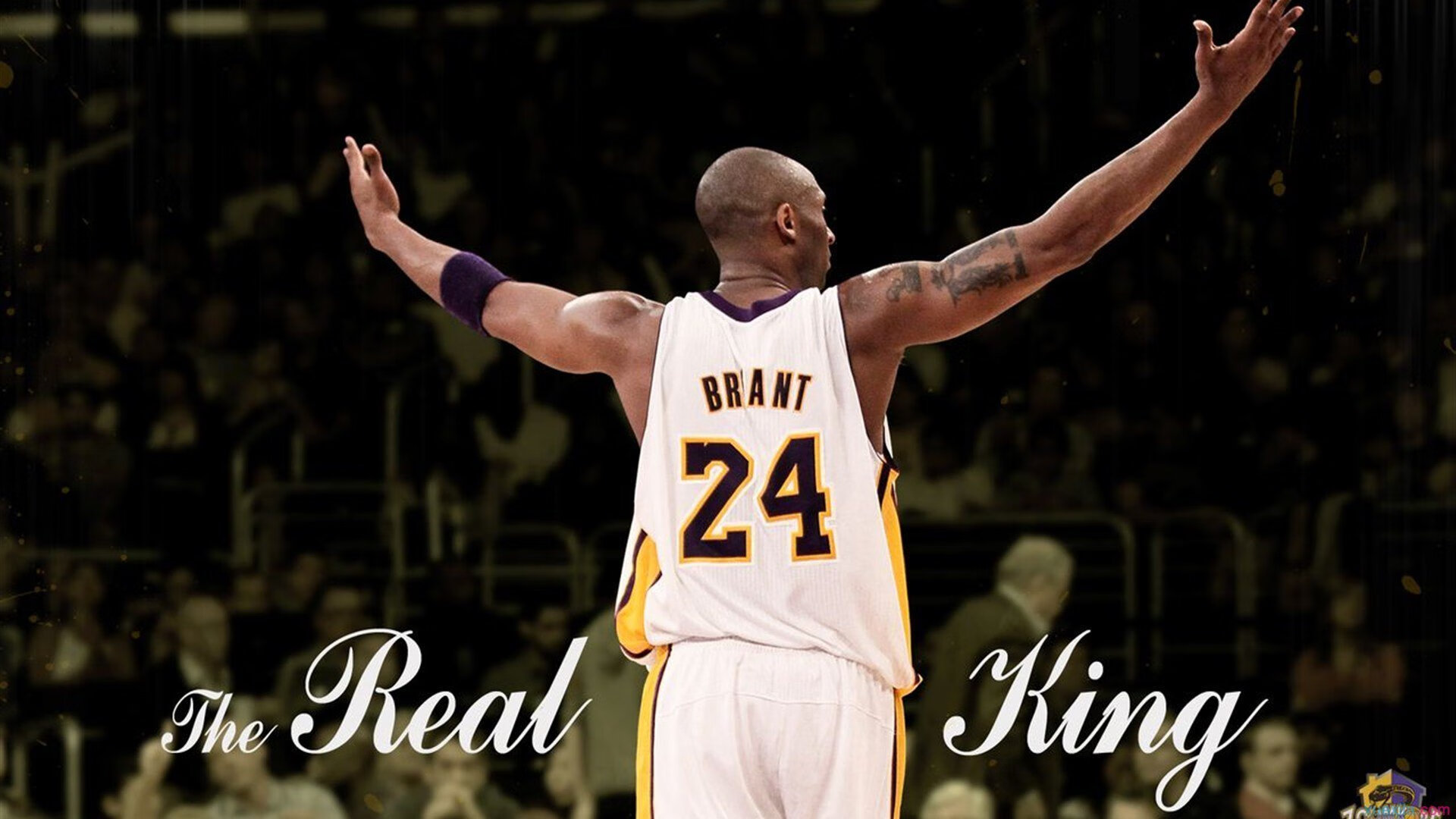 “穿越荒漠：金色大沙丘的极速战场”，2020穿越沙漠